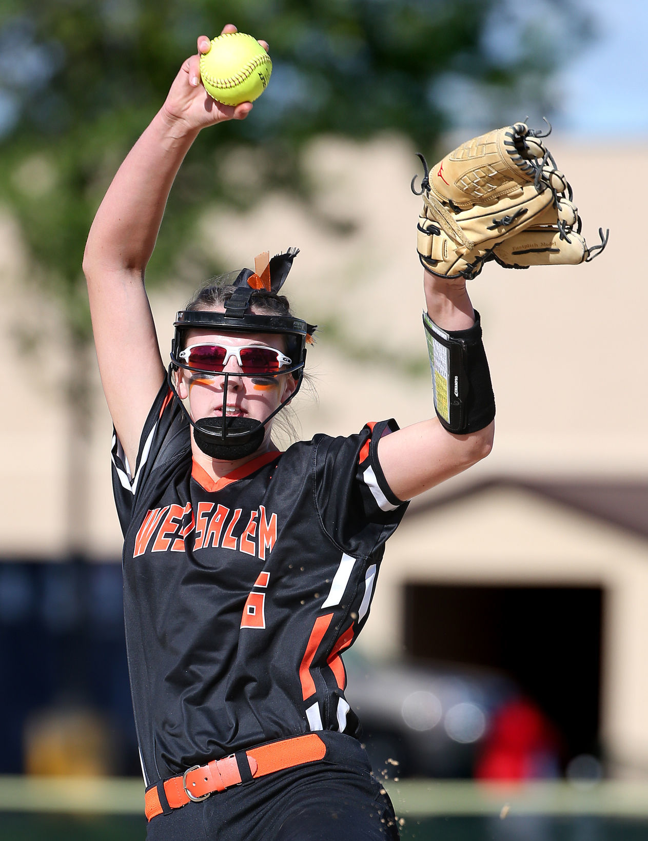 Softball Playoffs